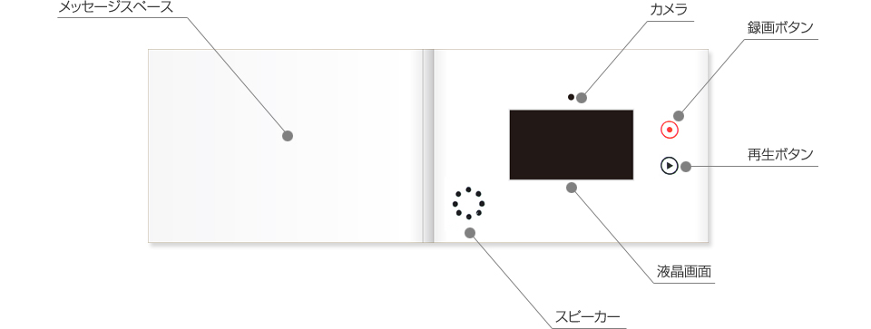 本体図